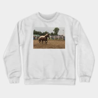 Horses in a trot Crewneck Sweatshirt